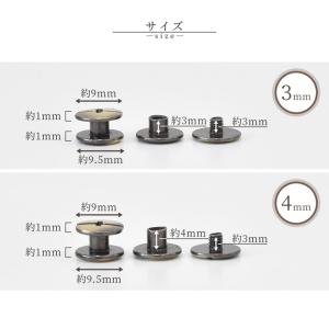 ビス 片ネジ式 3色 全5サイズ 3〜10mm...の詳細画像2