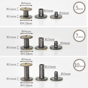 ビス 片ネジ式 3色 全5サイズ 3〜10mm...の詳細画像3