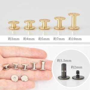ビス 片ネジ式 3色 全5サイズ 3〜10mm...の詳細画像4