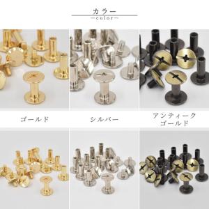 ビス 片ネジ式 3色 全5サイズ 3〜10mm...の詳細画像5