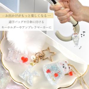 レジン ネイル 着色剤 粉 ギャラクシー パウ...の詳細画像3