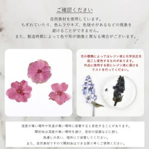 訳あり 押し花 ドライフラワーセット 桜 12...の詳細画像5