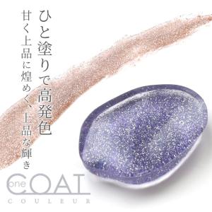 レジン 着色剤 高発色 シュガー ラメ ワンコ...の詳細画像1
