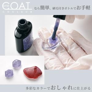 レジン 着色剤 高発色 シュガー ラメ ワンコ...の詳細画像2