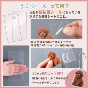 強粘着 硬質 クリアシール 2枚入 90mm×...の詳細画像2