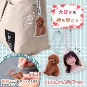 強粘着 硬質 クリアシール 2枚入 90mm×...の詳細画像5