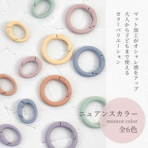 カラビナ キーホルダー おしゃれ パーツ カラ...の詳細画像1