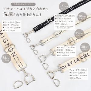 ハイクオリティ ナスカン 押し込み式 2個入 ...の詳細画像2