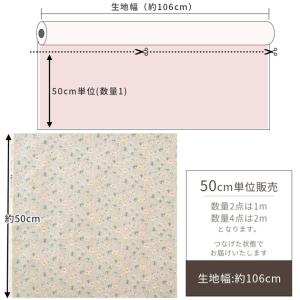 生地 布 布地 スケア 未晒コットン エリーゼ...の詳細画像4