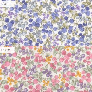 生地 布 布地 スケア ノスタルジアコレクショ...の詳細画像5