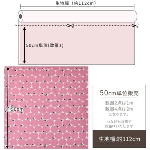 生地 布 綿 オックス 未晒コットン リンゴド...の詳細画像4