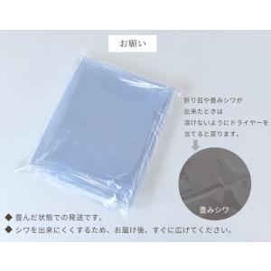 ビニール シート 生地 PVC 透明 厚さ0....の詳細画像4
