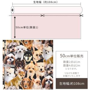 生地 布 布地 シーチング インクジェットプリ...の詳細画像4
