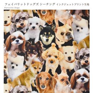 生地 布 布地 シーチング インクジェットプリ...の詳細画像5