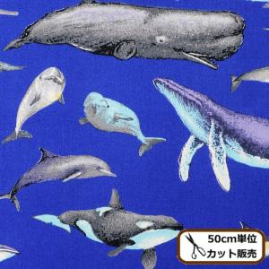 イルカ 生地の商品一覧 通販 Yahoo ショッピング