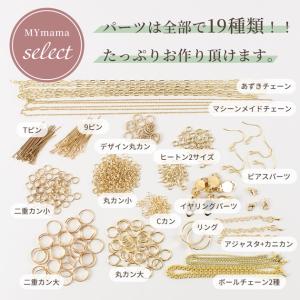 アクセサリー パーツ セット 19種類 ケース...の詳細画像3
