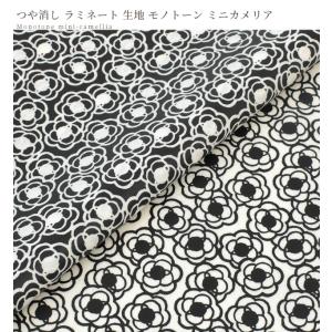 生地 布 つや消しラミネート う早この布 ミニ...の詳細画像5