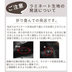 生地 つや消し ラミネート 猫 ネコ ねこ か...の詳細画像4