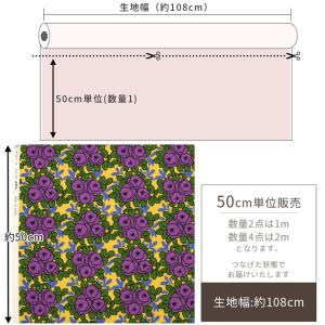 生地 布 布地 う早この布 10番 キャンバス...の詳細画像4
