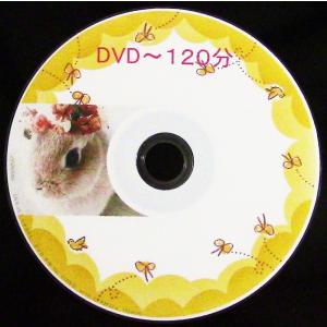 DVD ダビング/ダビング専門店 Memory｜my-memory