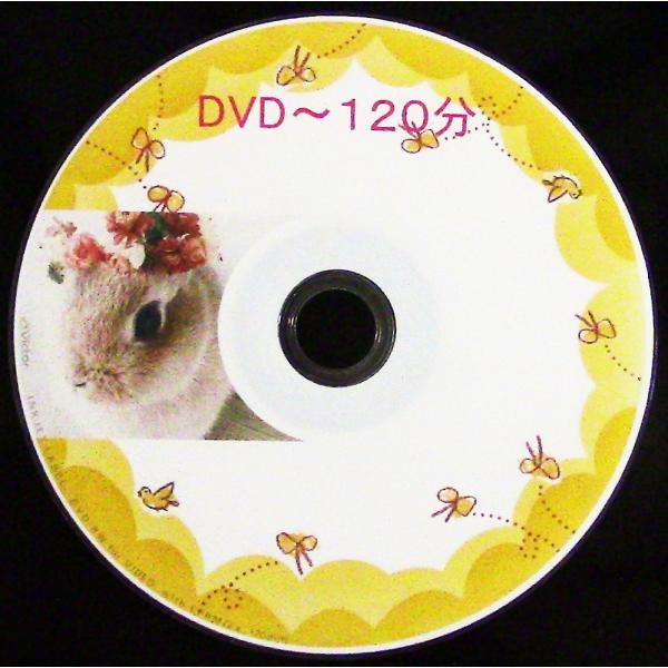 DVD ダビング/ダビング専門店 Memory