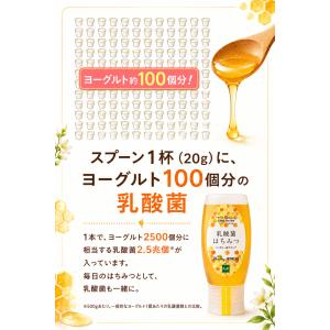 マイハニー はちみつ アカシア蜂蜜 非加熱 1...の詳細画像3
