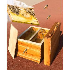 蜜蜂巣箱ミツバチ巣箱木製の防水巣箱 養蜂7フレーム/10フレームパーティション蜜蜂巣箱の採蜜 自動ハチミツ採取蜂巣箱養蜂用具一式-51*41*26-A｜mya-bussan