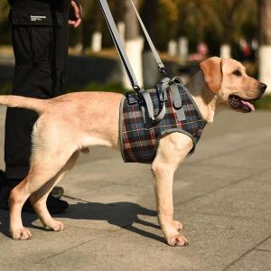 犬 ハーネス 犬 歩行補助ハーネス 老犬の前足と後足の補助 けが 介護 リハビリにも利用可能 安定調節ショルダーストラップ付 メッシュを使用 T字型のデザイン 均｜mya-bussan