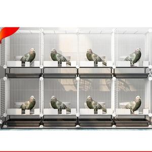 鳥かご?ケージ 鉄鳩の檻 大きな鳥籠 ピジョンレースホーム 鳩の巣 ピジョンペアリングケージ ケージの組み立てが簡単 多機能ケージ ( 白 Size : 147*39*96 cm｜mya-bussan