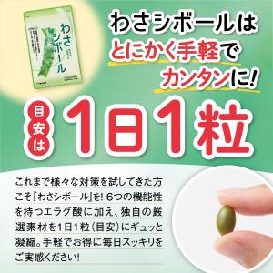 マイケア わさシボール 1日1粒目安 静岡県産...の詳細画像1