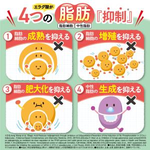 マイケア わさシボール 1日1粒目安 静岡県産...の詳細画像3