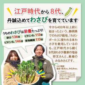 マイケア わさシボール 1日1粒目安 静岡県産...の詳細画像4