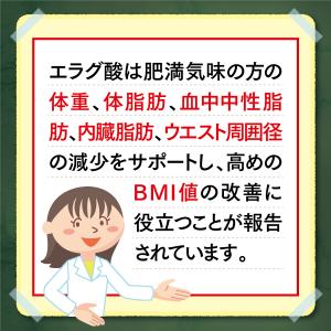 マイケア わさシボール 1日1粒目安 静岡県産...の詳細画像5