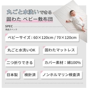 【綿100%生地】丸ごと水洗いできる 固わた ...の詳細画像1