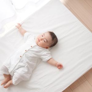 【綿100%生地】丸ごと水洗いできる 固わた ...の詳細画像2