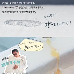【綿100%生地】丸ごと水洗いできる 固わた ...の詳細画像4