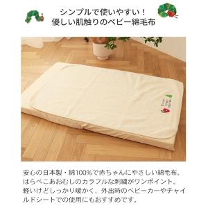 日本製 はらぺこあおむし 刺しゅう入りあったか...の詳細画像2