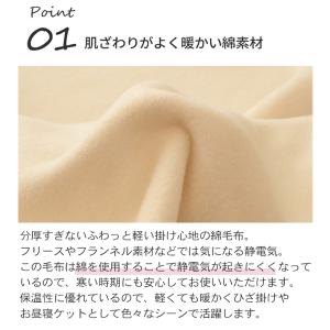日本製 はらぺこあおむし 刺しゅう入りあったか...の詳細画像3