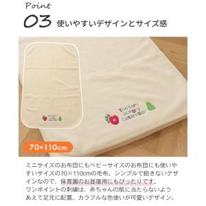日本製 はらぺこあおむし 刺しゅう入りあったか...の詳細画像5
