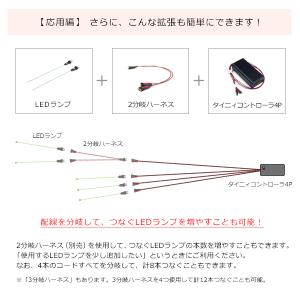 タイニィコントローラ4P [常時点灯4本用] ...の詳細画像4