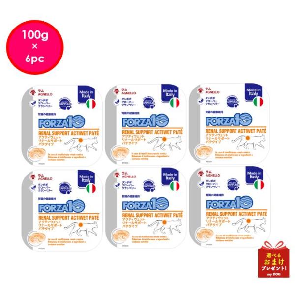 フォルツァ10　猫用　リナール　アクティウェット　100g　6個セット