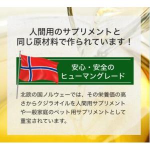 高濃度オメガ3オイル クジラオイル100%の詳細画像3