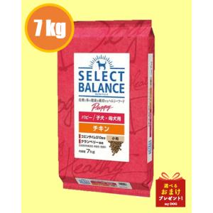 セレクトバランス　パピー　ラム　3kg×2袋 セレクトバランス 犬パピーラム 小粒 3kg（4541851005968）｜犬