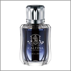 カーオール カルティナ ロワイヤル プラチナシャワー オカモト産業 317 車の芳香剤 取寄せ 欠品 完売時は入手不可 56 31 カーピィー 通販 Yahoo ショッピング