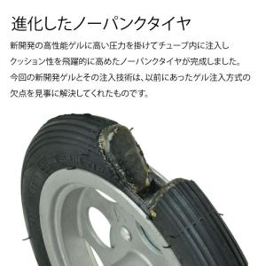 ただ今専用バッグをプレゼント中「日本正規代理店...の詳細画像2