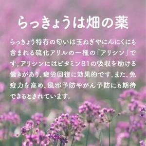 らっきょう 橋本さんちの砂丘らっきょう 甘酢漬...の詳細画像5