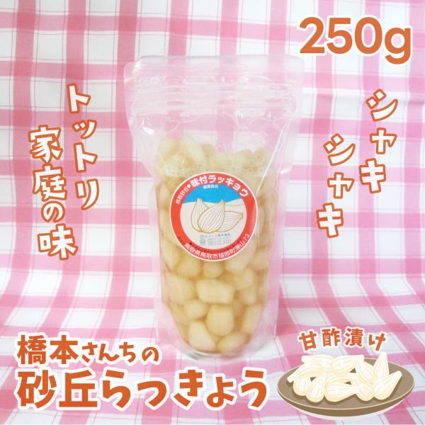 らっきょう 橋本さんちの砂丘らっきょう 甘酢漬け 250g 国産 漬物 鳥取県福部町産 ギフト