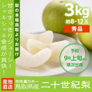 梨 二十世紀梨 秀品 20世紀梨 3kg 約8~12玉 鳥取県産  進物用 贈答用 ギフト 送料無料（北海道・沖縄を除く）