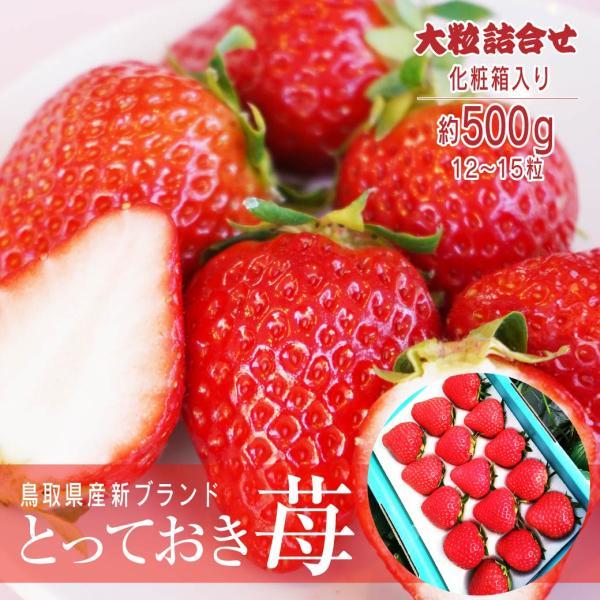 イチゴ とっておき 大粒詰合せ 鳥取県 新ブランド苺 有機肥料 産地直送  ギフト あきひめ 章姫 ...