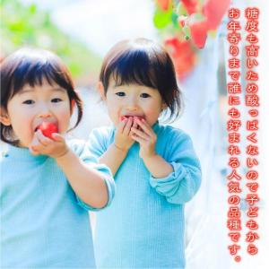 イチゴ あきひめ いちご 章姫 4P詰合せ 有...の詳細画像2